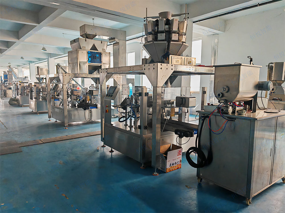 全自動(dòng)給袋式包裝機(jī)適配