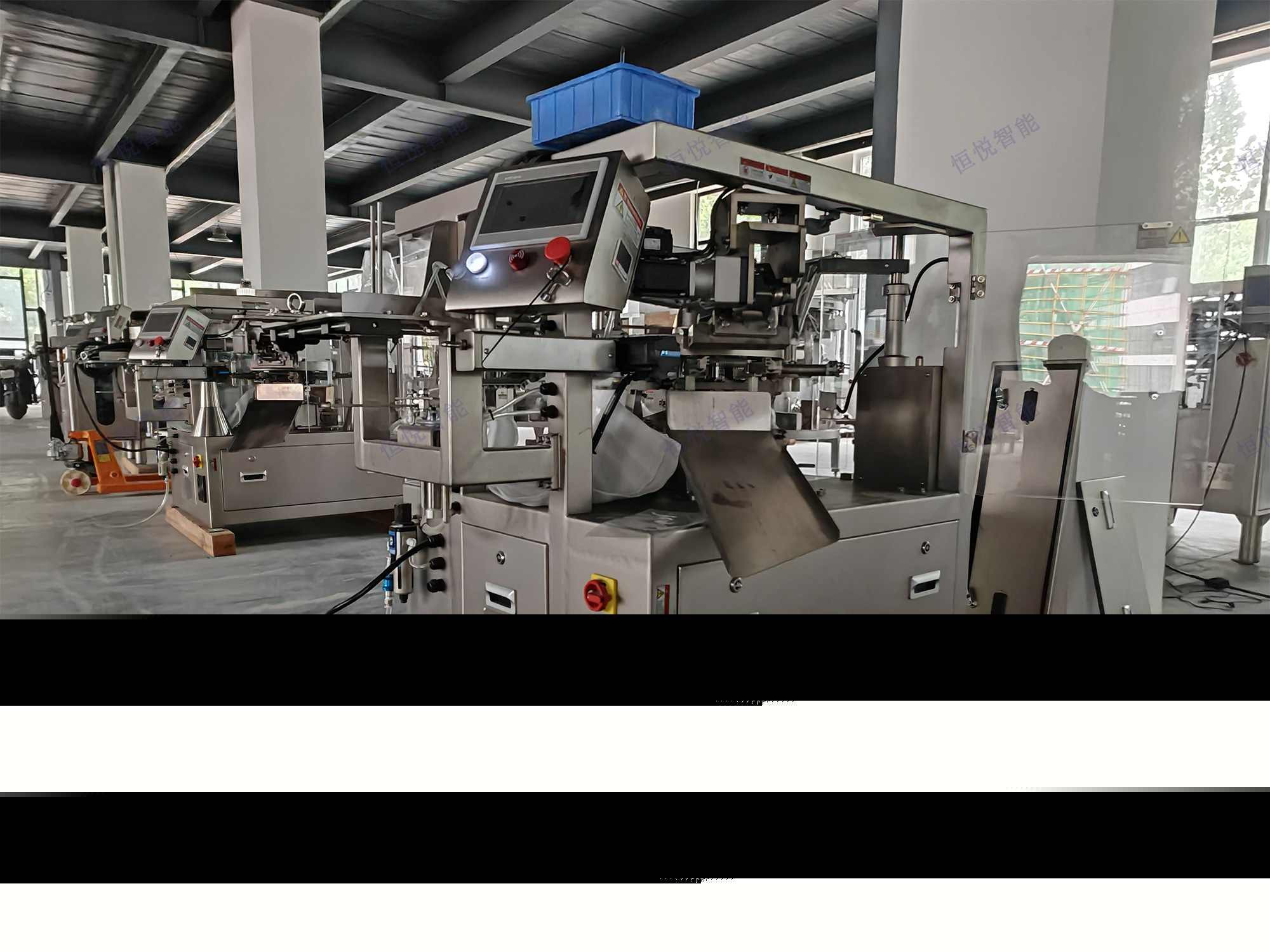 給袋式自動(dòng)包裝機(jī)