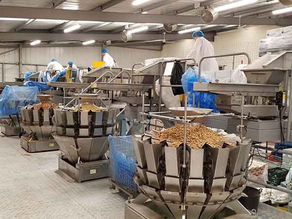 全自動包裝機智能化聯動生產