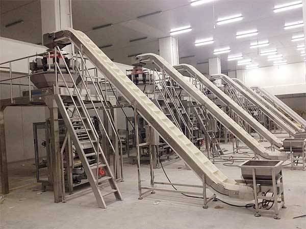 智能化全自動速凍食品包裝機提升企業生產效率