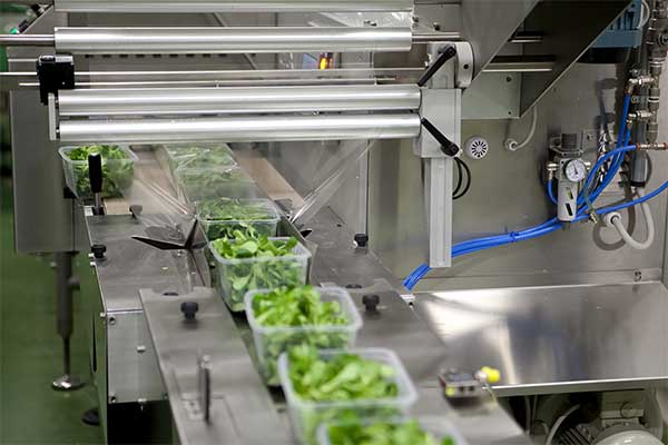 瓜果蔬菜全自動脫水蔬菜包裝機